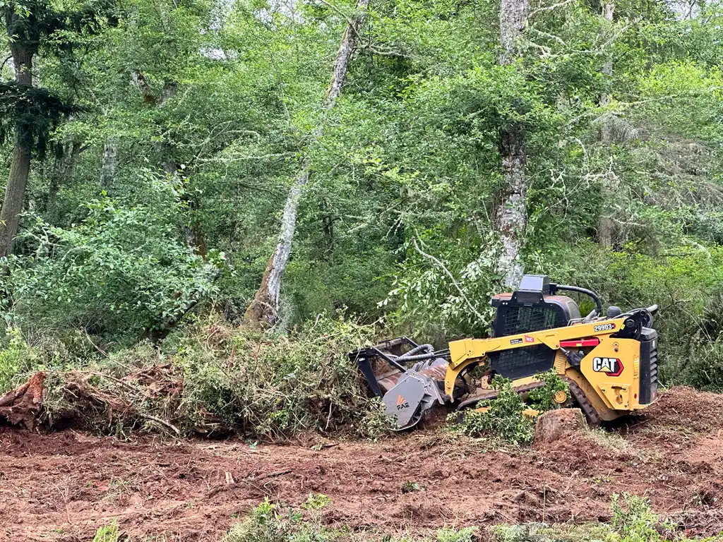 Tracked loader grinding dense brush at a wood's edge — Pine Barrens Land & Forestry