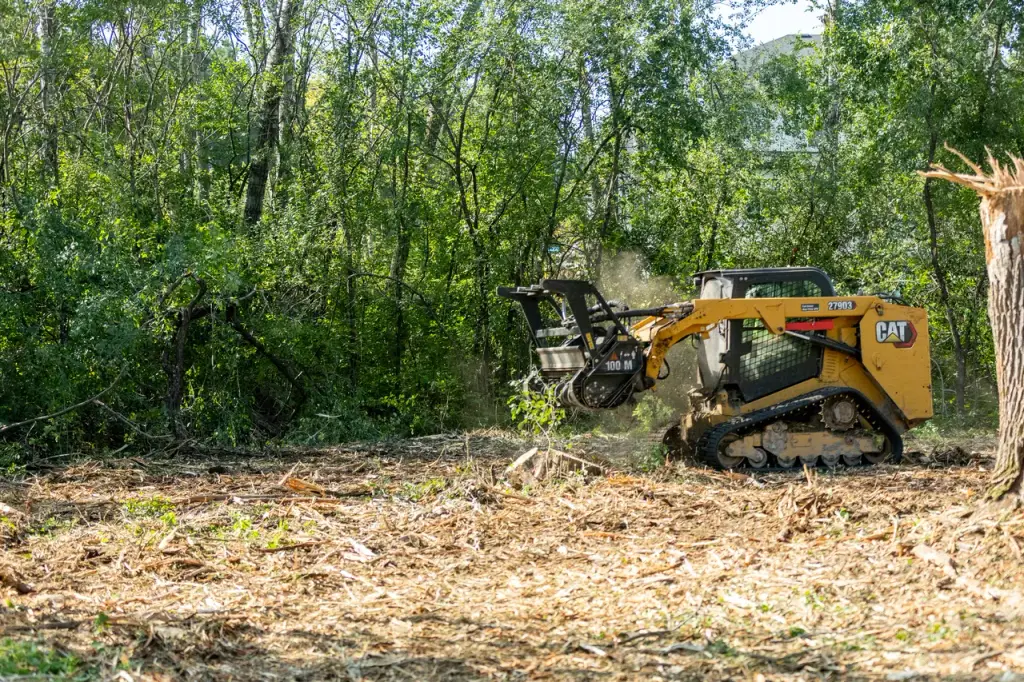 Compact track loader mulching standing brush in the Pinelands — Pine Barrens Land & Forestry