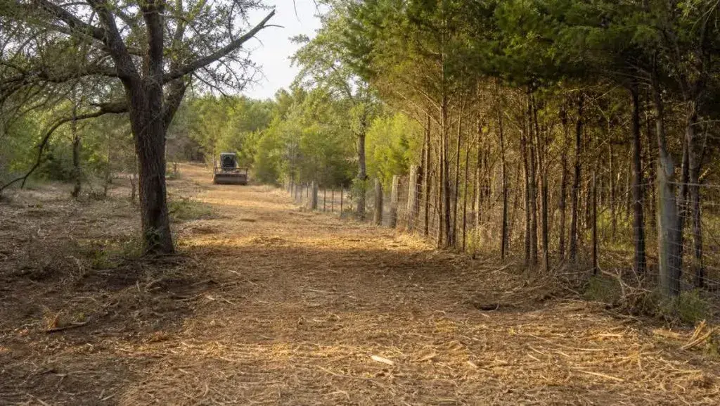 Cleared fence line and right-of-way corridor through the woods — Pine Barrens Land & Forestry