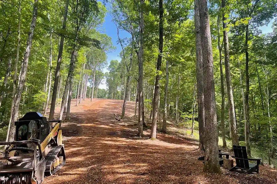 A trail cut clean through the trees — Pine Barrens Land & Forestry