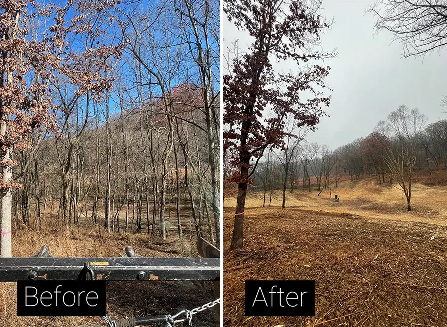 Before and after: an overgrown wooded slope cleared to open ground — Pine Barrens Land & Forestry