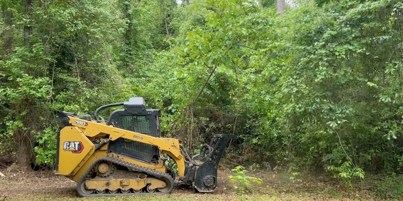 Our compact track loader with a forestry mulcher head working a brushy lot in the Pinelands — Pine Barrens Land & Forestry