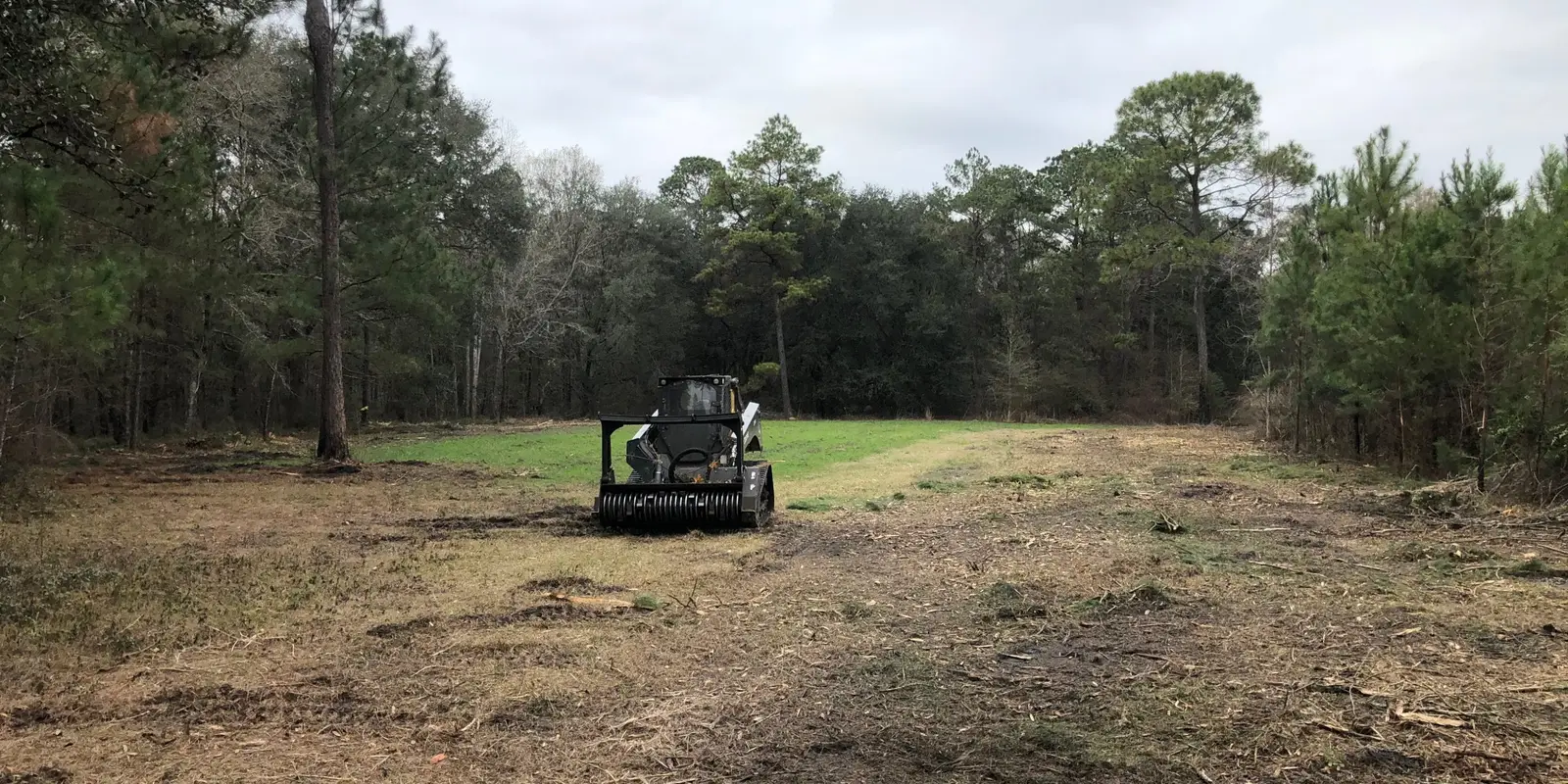 Tracked loader on a large cleared opening ringed by pines — Pine Barrens Land & Forestry